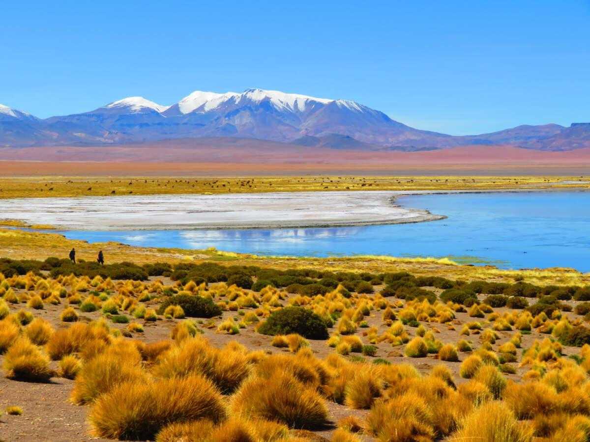 Read more about the article South America
