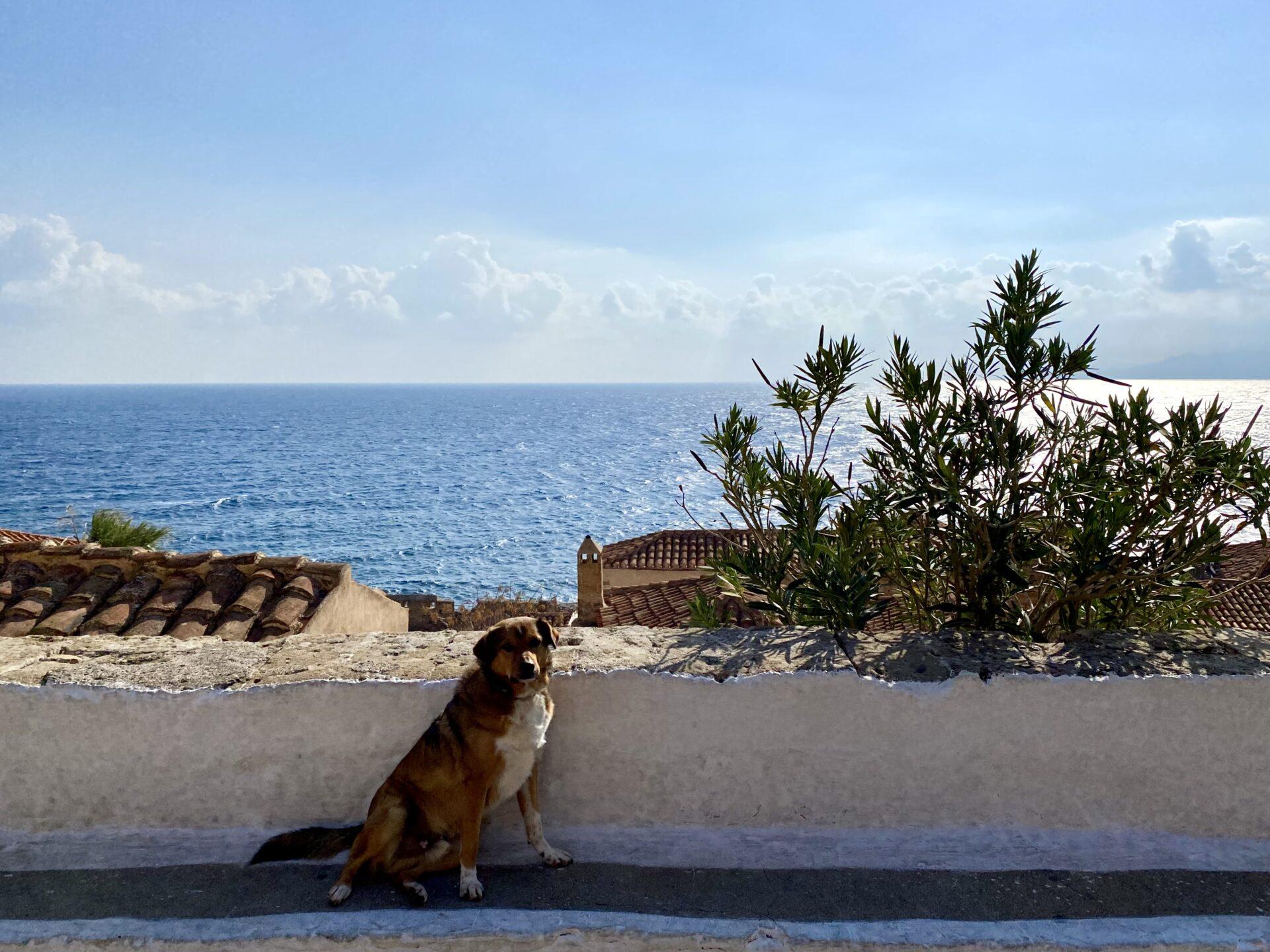 Read more about the article Like a god in Greece II, Peloponnese