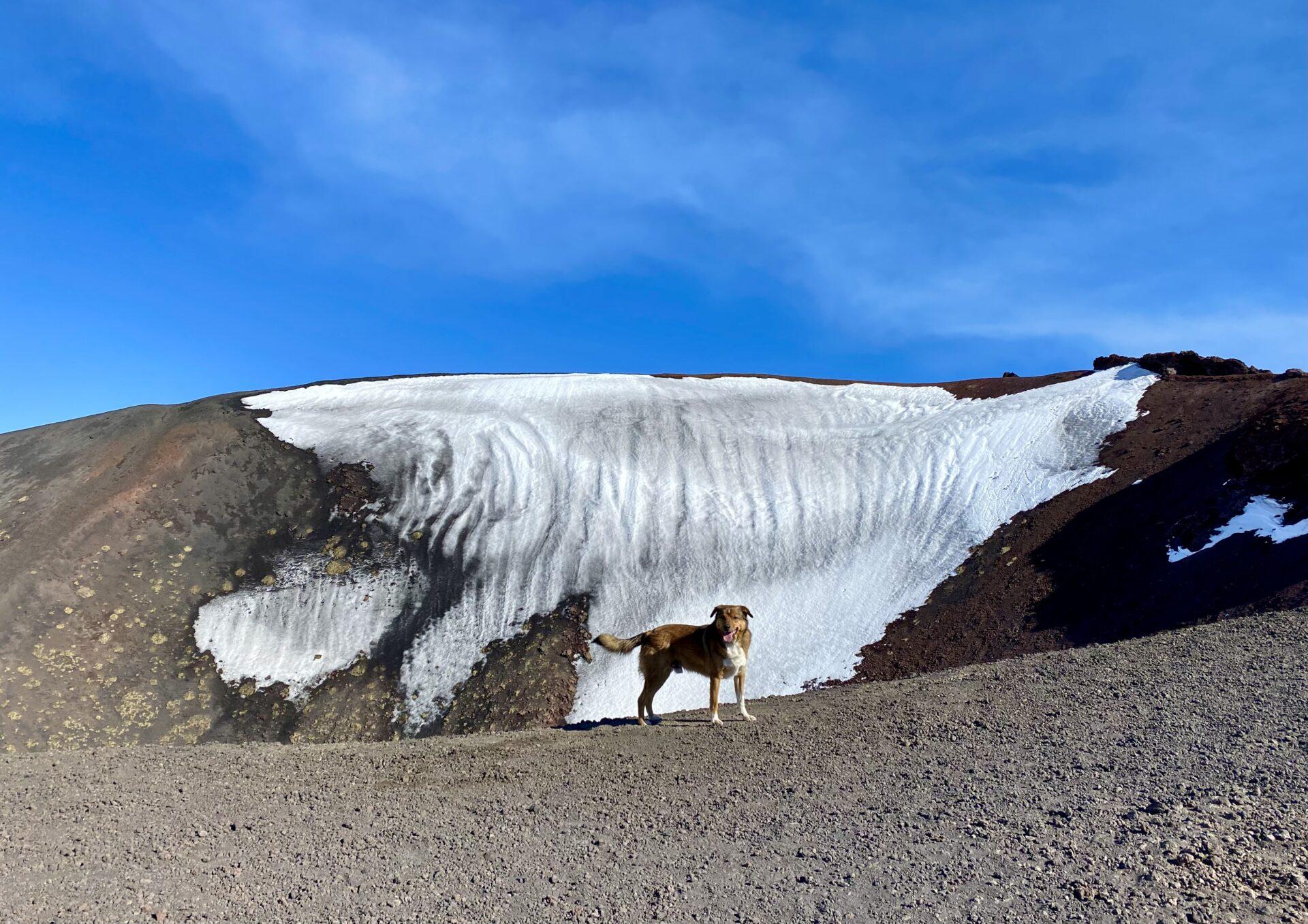 Vulkaan Etna