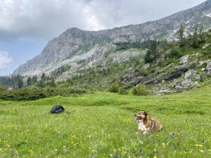 Mount Gjeravica