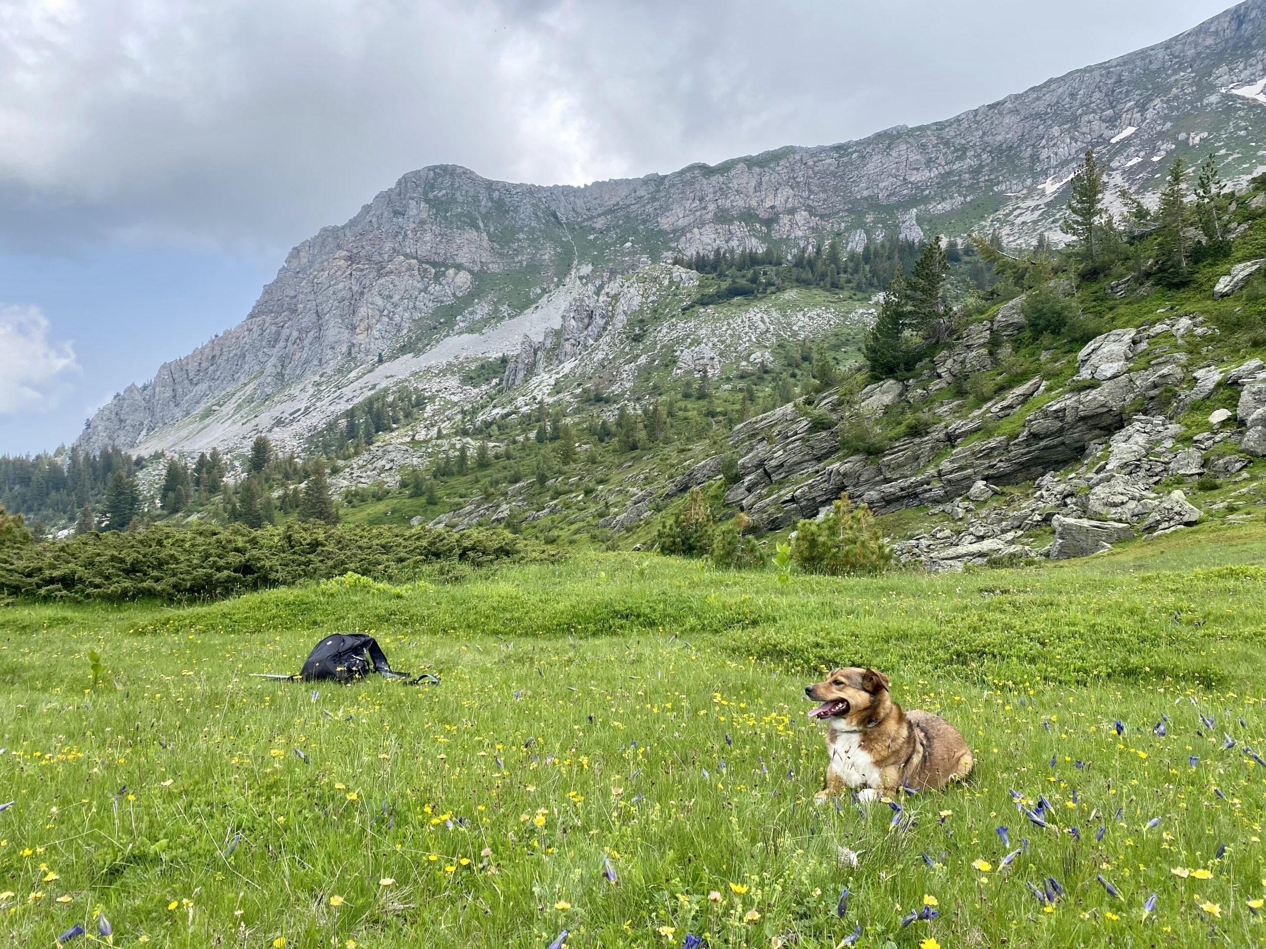 Mount Gjeravica
