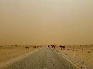 Read more about the article Vanlife in West Africa II, Mauritania