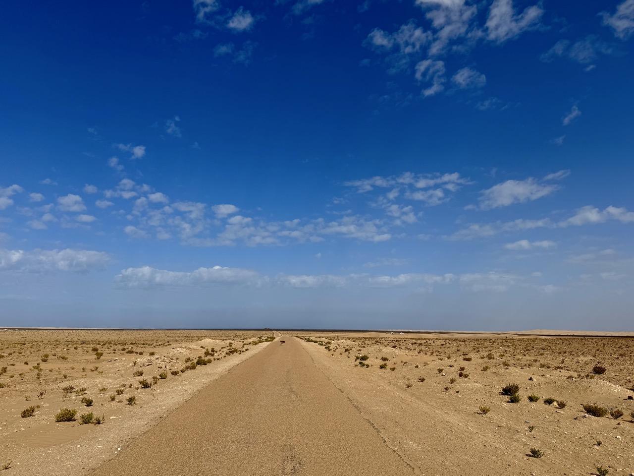 Read more about the article Winter in Morocco II