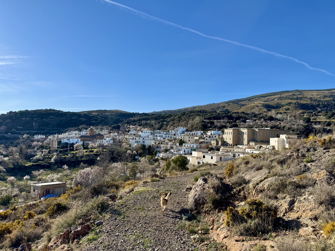 Je bekijkt nu Winter in Andalusië