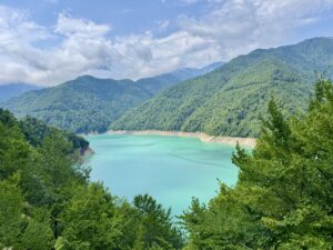 Read more about the article Summer in Georgia II