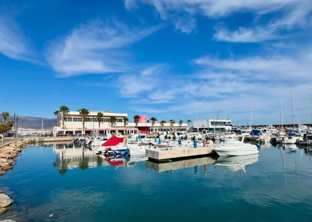 Andalusië II
Roquetas de Mar! Via het kasteel, langs de boulevard naar de haven. Het dorp heeft een prachtig strand. Ik kom Gelma & Arnold tegen die ik vorig jaar heb ontmoet, super gezellig!!
In Retemar (Almería) wandelen we in natuurpark Cabo de Gata. In het moeras zie ik witte flamingo’s! Even een kijkje bij de vuurtoren (met de slotjes) en lunchen met schitterend uitzicht op zee 😍 
Overnachten op dit plekje mag niet dus terug naar Retemar waar ik word getrakteerd op een mooie zonsondergang. 
——————
🇬🇧 Andalusia II
Roquetas de Mar! Via the castle, along the boulevard to the harbor. The village has a beautiful beach. I meet Gelma & Arnold who I met last year, super nice!!
In Retemar (Almería) we walk in the Cabo de Gata nature park. In the swamp I see white flamingos! A quick look at the lighthouse (with the locks) and lunch with a stunning view of the sea 😍
Staying overnight at this spot isn’t allowed so back to Retemar where I am treated to a wonderful sunset.

#Spanje
#Spain
#Overwinteren
#Andalusie 
#Travelalone
#Nomad
#Vanlife
#Aroundtheworld